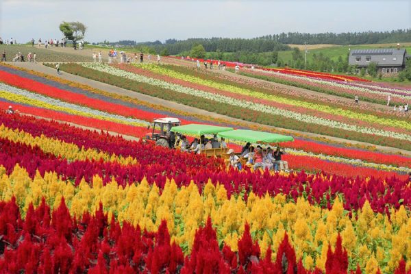 tour du lịch Nhật Bản - khám phá Hokkaido